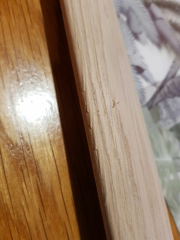 Image #2 de michel Ducaud